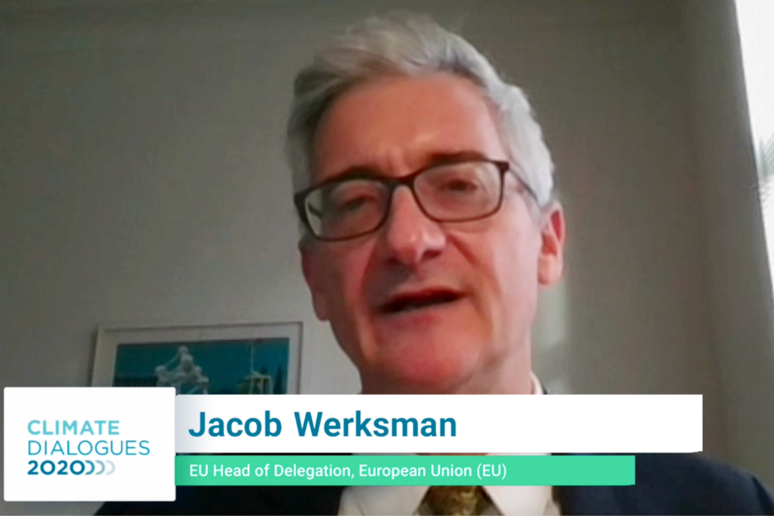 Jacob Werksman, EU