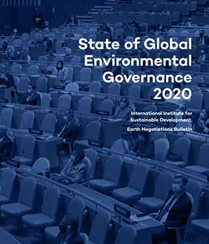 State of Global Environmental Governance 2020