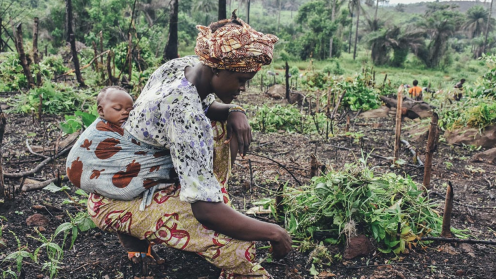 A woman with a sleeping baby in a wrap on her back doing work in the garden