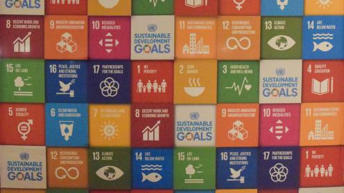 Sustainable Development Goals 