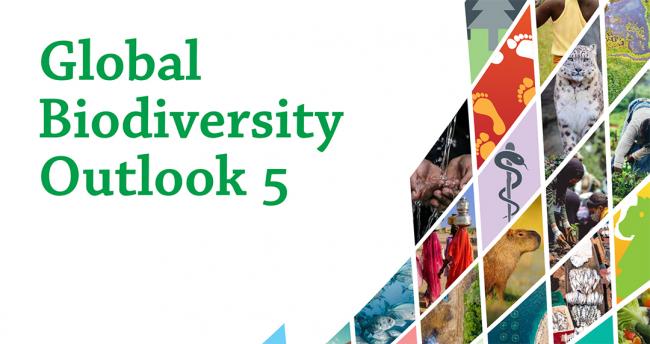 Global Biodiversity Outlook 5