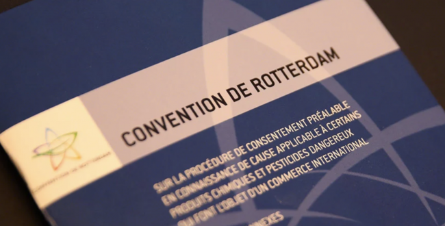 Rotterdam Convention