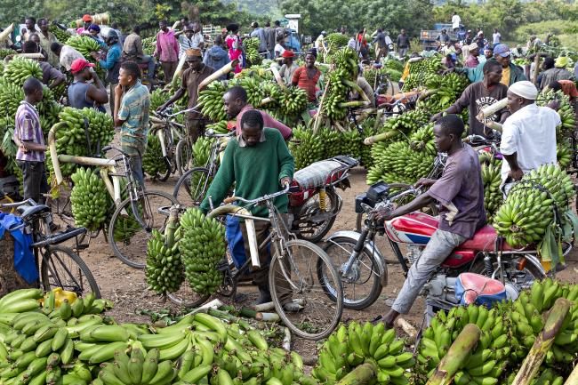 African Food System