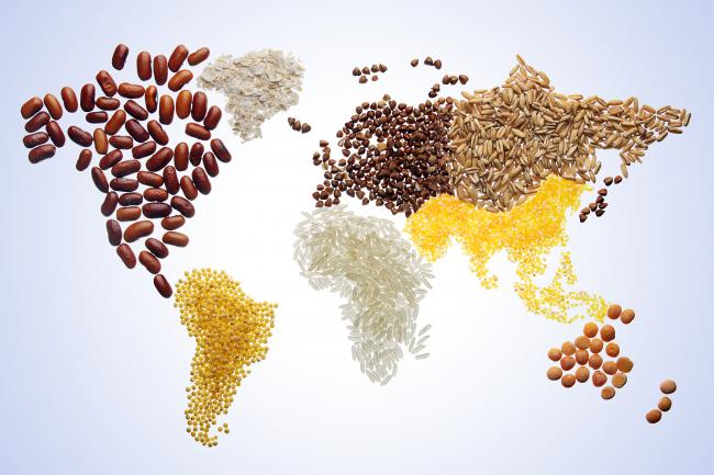 World map with various grains