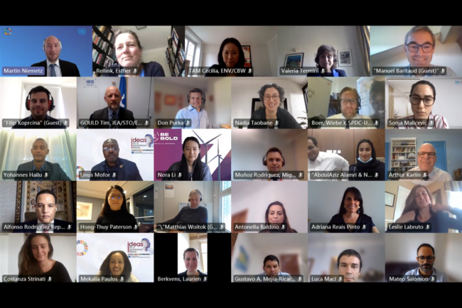 Participants gathered for a group screenshot at the close of the 2nd Meeting of the Technical Working Group on Finance and Investment