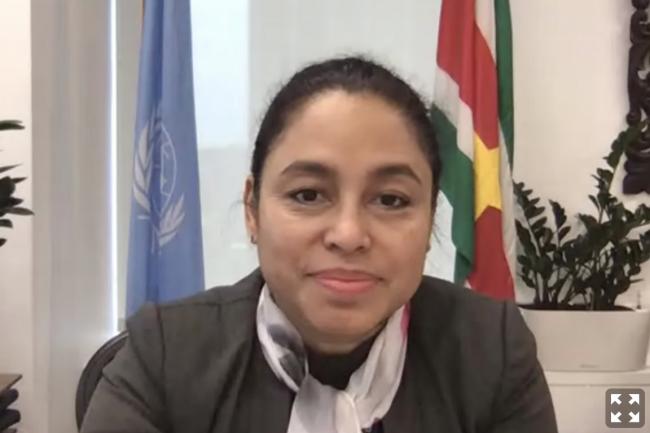 UNFF16 Chair Kitty Sweeb, Suriname