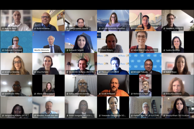 Participants in the final meeting of the Technical Working Group on Energy Access pause for a group screenshot 