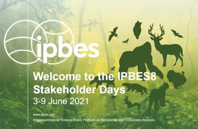 IPBES8 Stakeholder Days