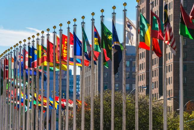 UN flags