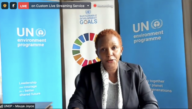 Joyce Msuya, UNEP