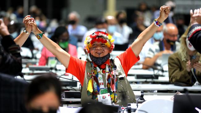 José Gregorio Díaz Mirabal, Coordinator of Indigenous Organizations of the Amazon River Basin (COICA)