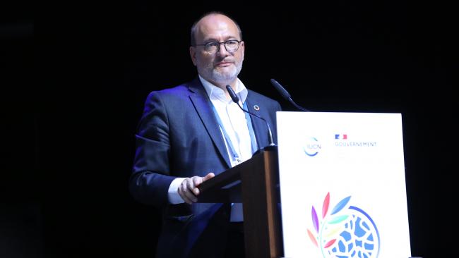 Rémy Rioux, Director-General, Agence Française de Développement (AFD)