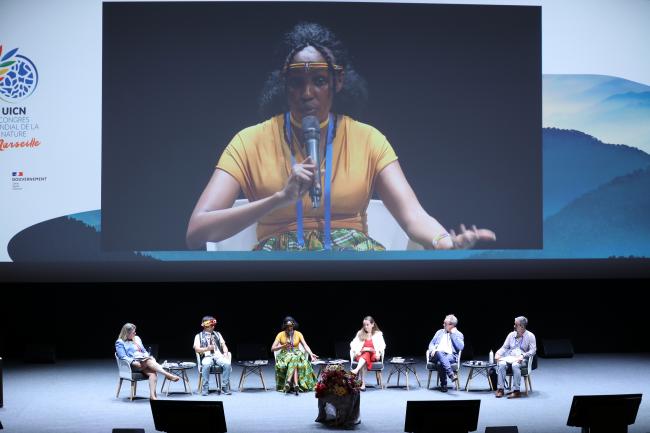 Panel view during the session