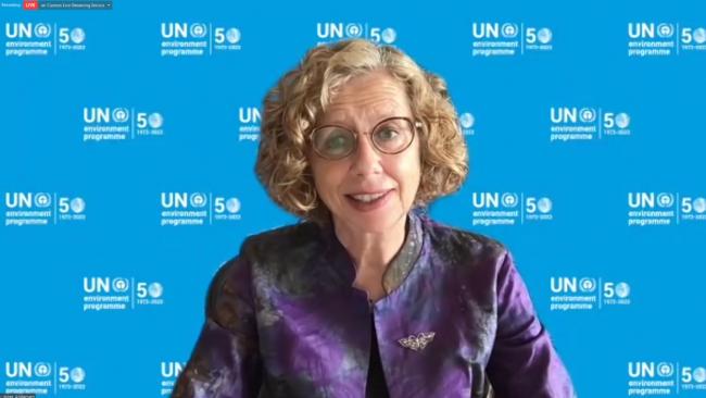 Inger Andersen, Executive Director, UN Environment Programme