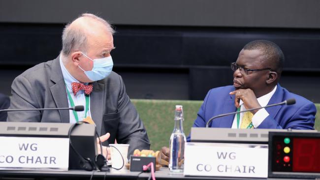 Basile van Havre and Francis Ogwal, Co-Chairs of the Open-ended Working Group on the post-2020 Global Biodiversity Framework