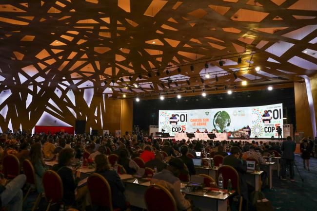 The first day of UNCCD COP15 opened in Abidjan, Côte d'Ivoire