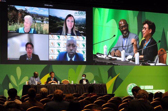 Panelists of the special event on Sustainable Forests and Green Energy