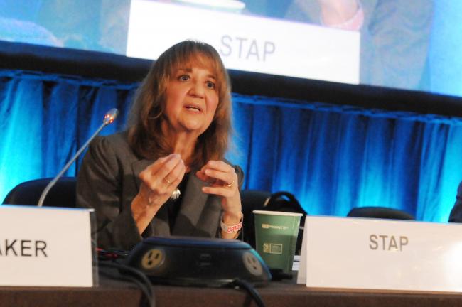 Rosina Bierbaum, STAP Chair