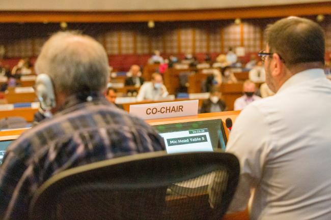 Plenary in session - OEWG-44/ExMOP-5 - 15Jul2022 - Photo