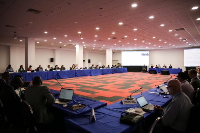 View of the room during the Thematic Group