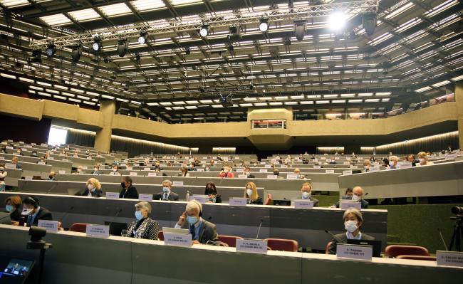 View of the room during the plenary