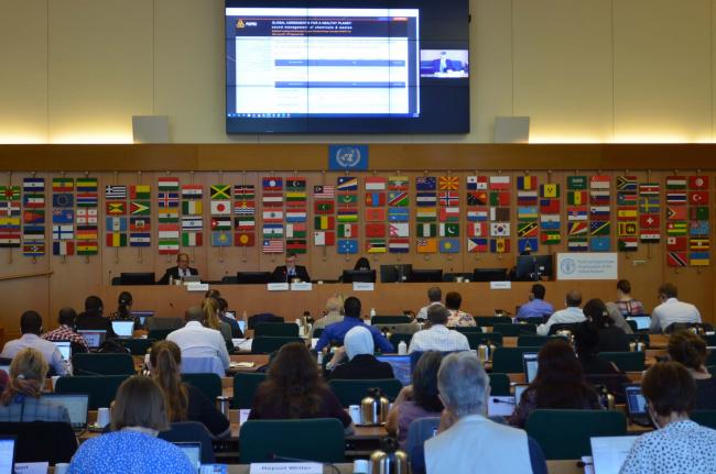 A view of the room during the morning plenary - POPRC-18 - 27Sep2022 - Photo