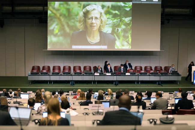 Inger Andersen, Executive Director, UN Environment Programme