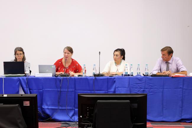 View of the dais during the Thematic Group