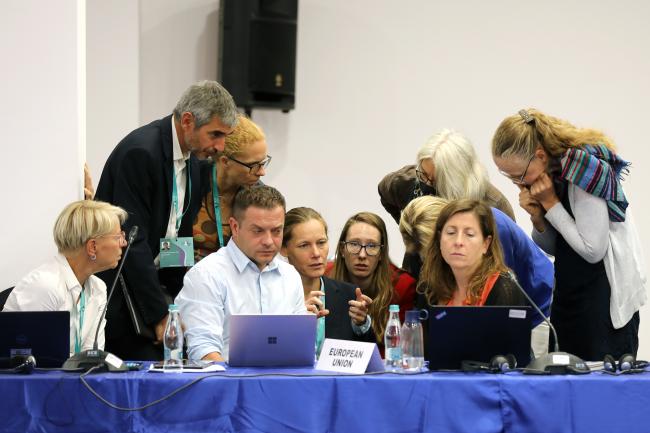 Participants of Thematic Group 2 conferring during a break