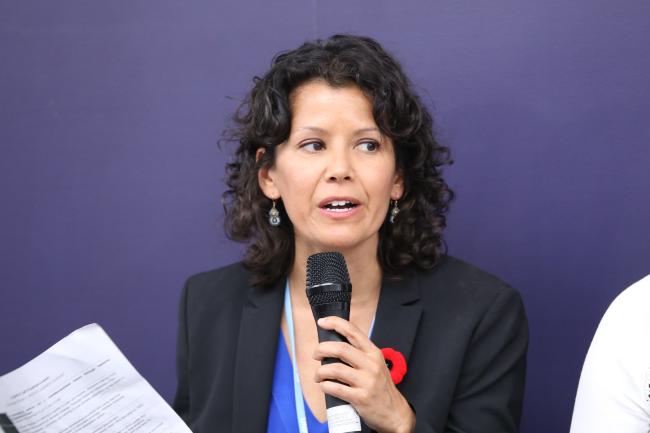 Anne Hammill, Senior Director, Resilience, International Institute for Sustainable Development, NAP Global Network Secretariat