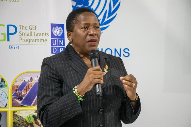 Pennelope Beckles, Minister of Planning and Development, Trinidad and Tobago