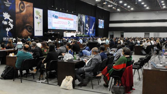 Delegates during the last plenary of CoP19