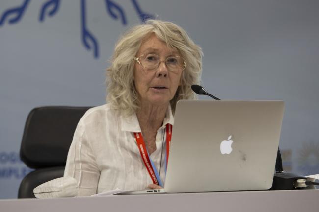 Virginia Young, Australian Rainforest Conservation Society - The Land Gap Report Side Event COP27 - 11 Nov 2022 - Photo