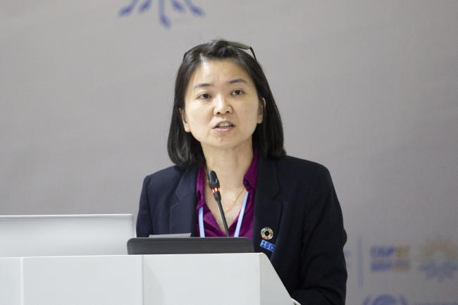 Yun-Ching Tseng, ICDF -Building an Enhanced Resilient and Sustainable Society COP27 Side Event - 12 Nov 2022 - Photo