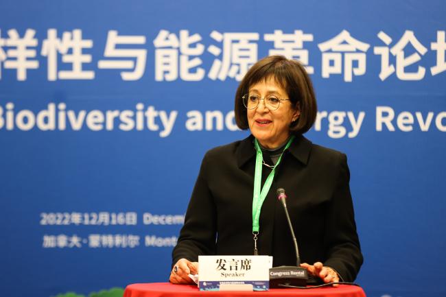Georgina Izquierdo Montalvo, General of National Institute of Electricity and Clean Energies (INEEL)