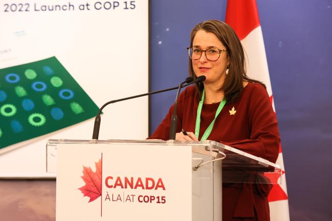 Catherine Stewart, Ambassador for Climate Change, CanadaA_SideEventsCBDCOP15_10Dec2022_Photo.jpg