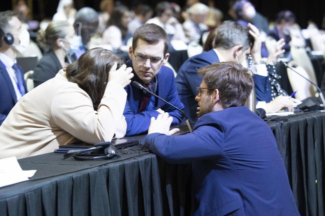 delegates-during plenary discussions