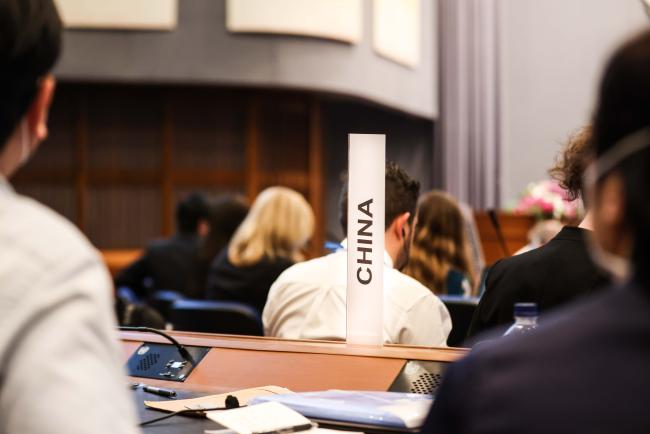 Delegates raise their country name to make a comment in the contact group_OEWG1.2_30jan2023_photo.jpg