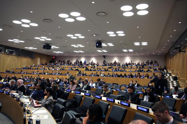 View of the room during the plenary