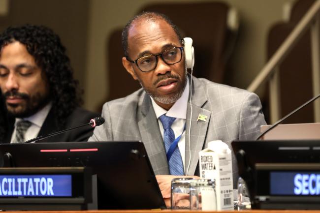 Kurt Davis, Jamaica, facilitator of the informal group on cross-cutting issues and institutional arrangements