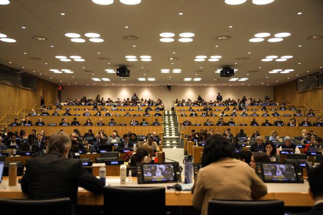 View of the room during plenary