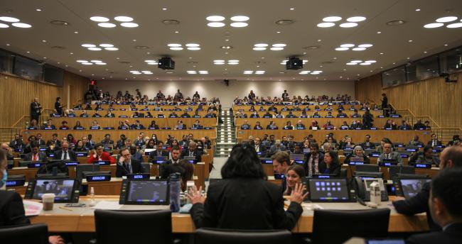 View of the room during plenary