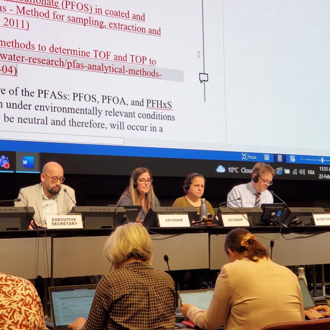 L-R: Technical Matters Contact Group Co-Chairs Patrick McKell (UK) and Judith Torres (Uruguay), Carla Valle-Klann, BRS Secretariat, Timo Seppälä, expert