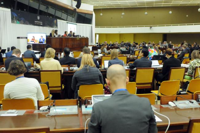 Council members listen to the Co-facilitators of the Working group on institutional matters Gina Guillén Grillo, Costa Rica, and Salvador Vega Telias, Chile