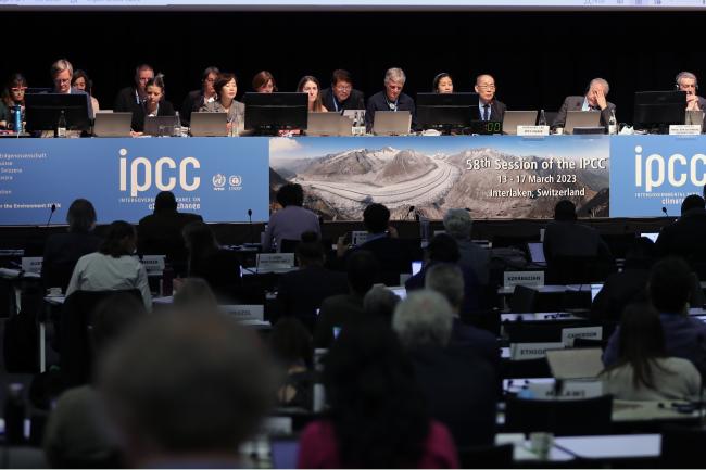 View of the dais during the afternoon plenary