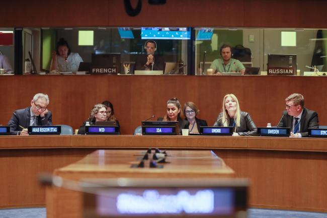 View of the panel during the Adopting Intersectionality to DRR using Disability as an Example event