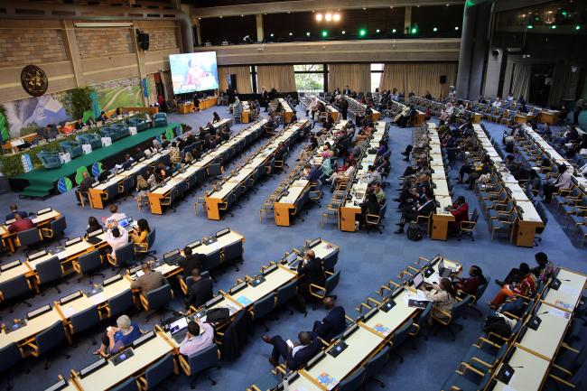 View of the room during the plenary