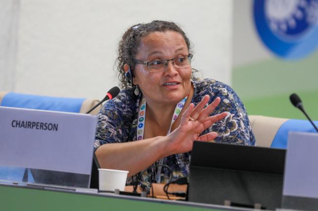 Deidré Januarie, Chair, CGRFA