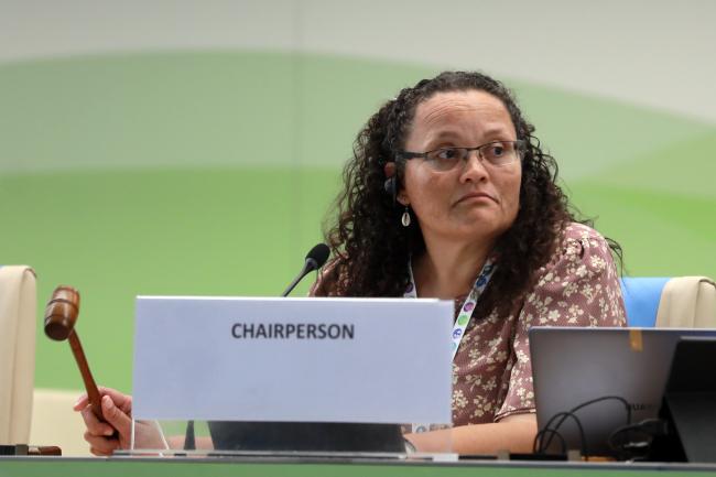 Deidré Januarie, Chair, CGRFA