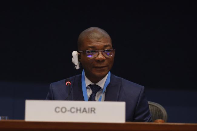 OEWG 45 Co-Chair Ameh Djossou